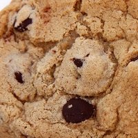 Cookie Çıplak